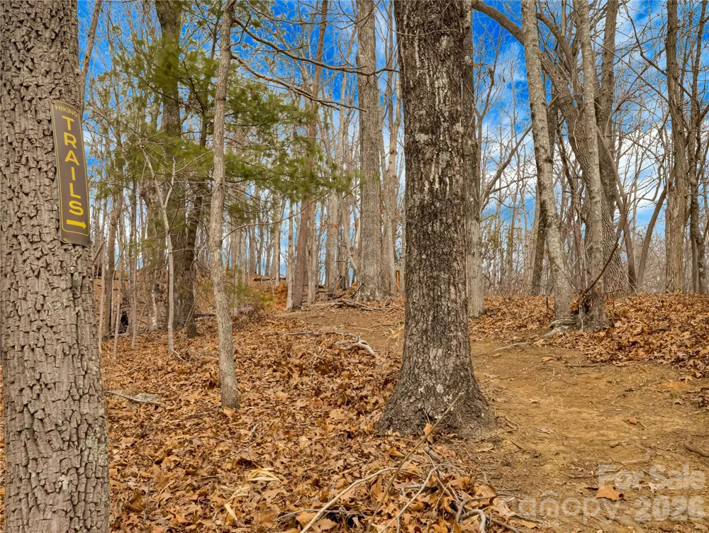 TBD Deep Woods Lane #102 Saluda, NC 28773