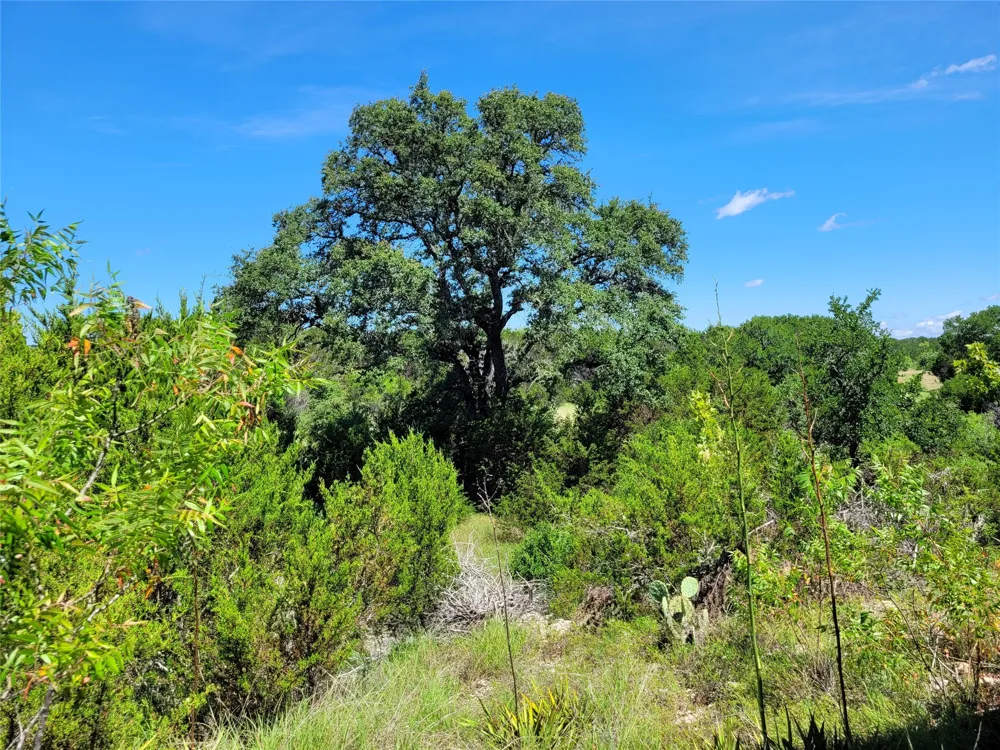 County Road 1139 575 Acres Lampasas, TX 76550