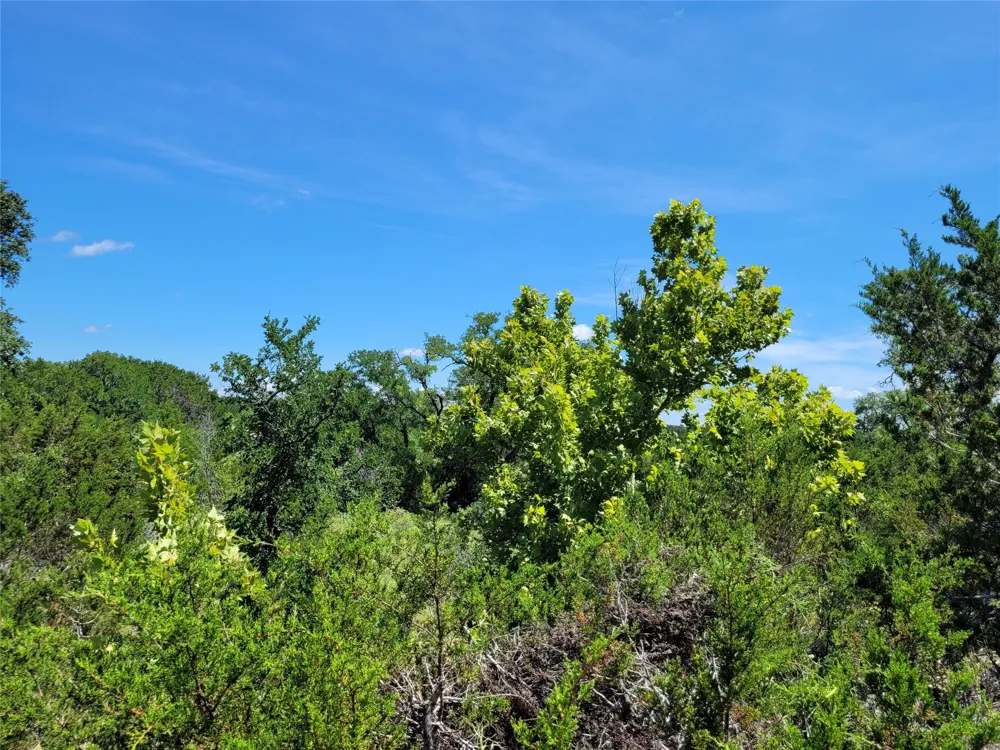 County Road 1139 575 Acres Lampasas, TX 76550