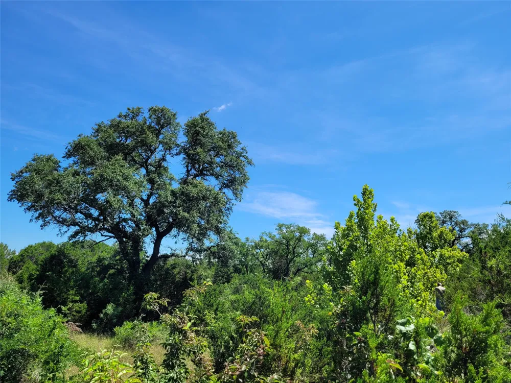 County Road 1139 575 Acres Lampasas, TX 76550