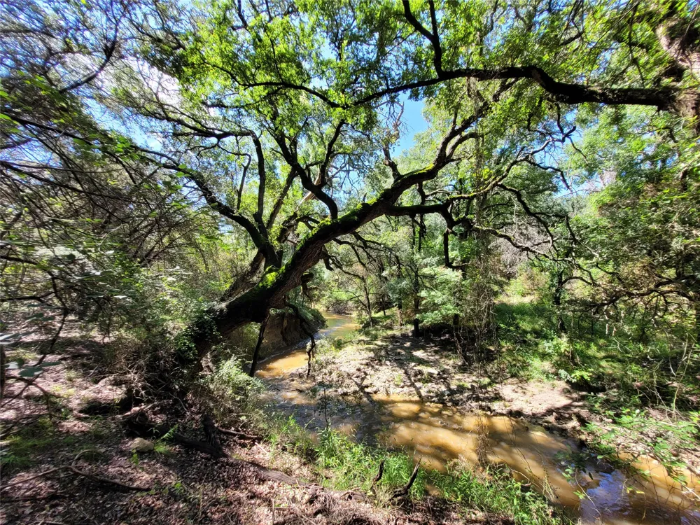 County Road 1139 575 Acres Lampasas, TX 76550