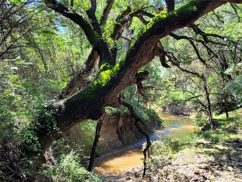 County Road 1139 575 Acres Lampasas, TX 76550