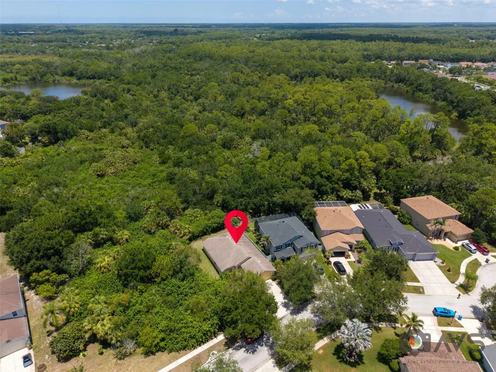 12415 RUSTIC VIEW COURT Tampa, FL 33635