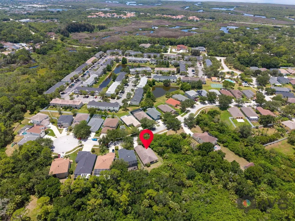 12415 RUSTIC VIEW COURT Tampa, FL 33635