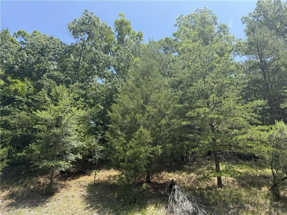 821 Rocky Cove Lane Denton, NC 27239