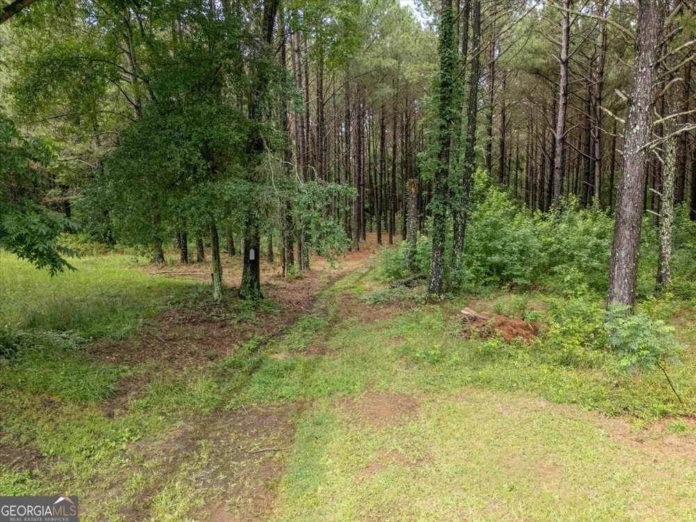 3328 Lundberg RD Washington, GA 30673