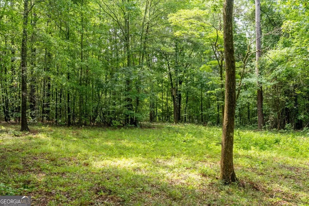 3328 Lundberg RD Washington, GA 30673