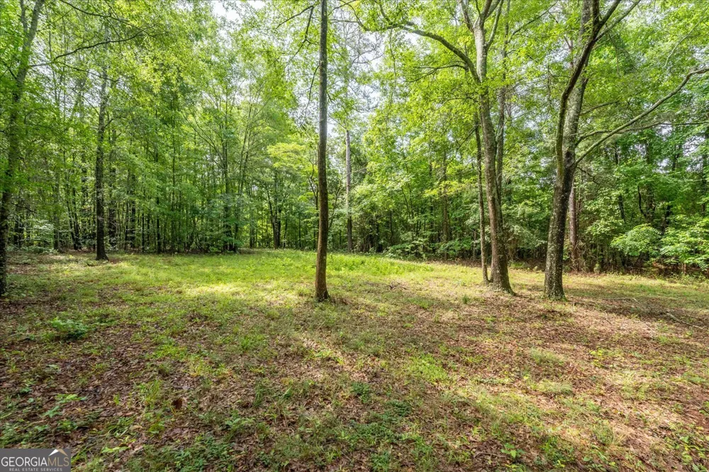 3328 Lundberg RD Washington, GA 30673