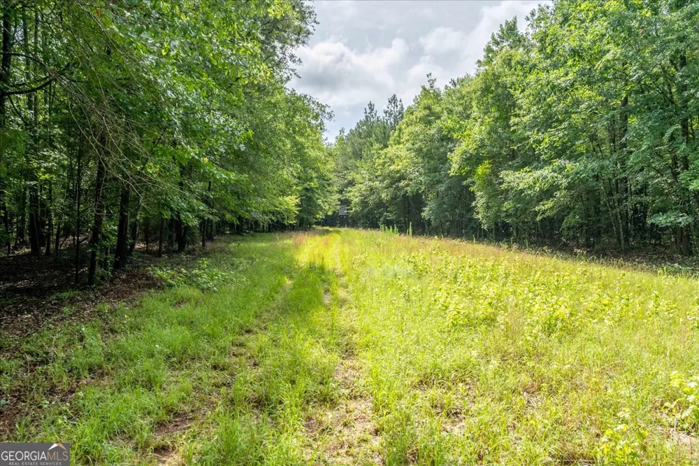 3328 Lundberg RD Washington, GA 30673