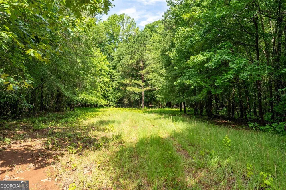 3328 Lundberg RD Washington, GA 30673