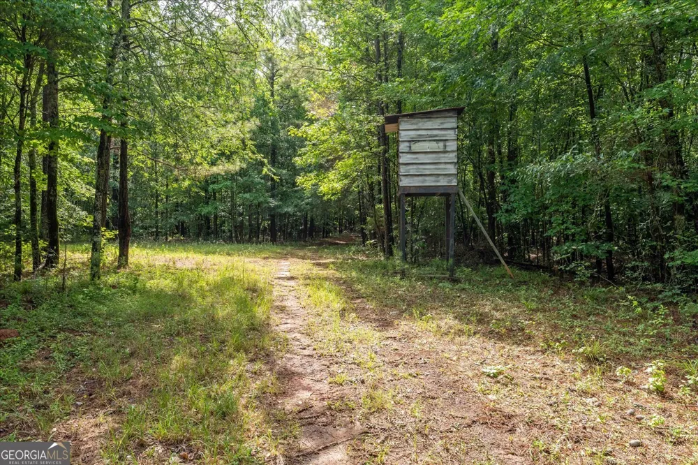 3328 Lundberg RD Washington, GA 30673