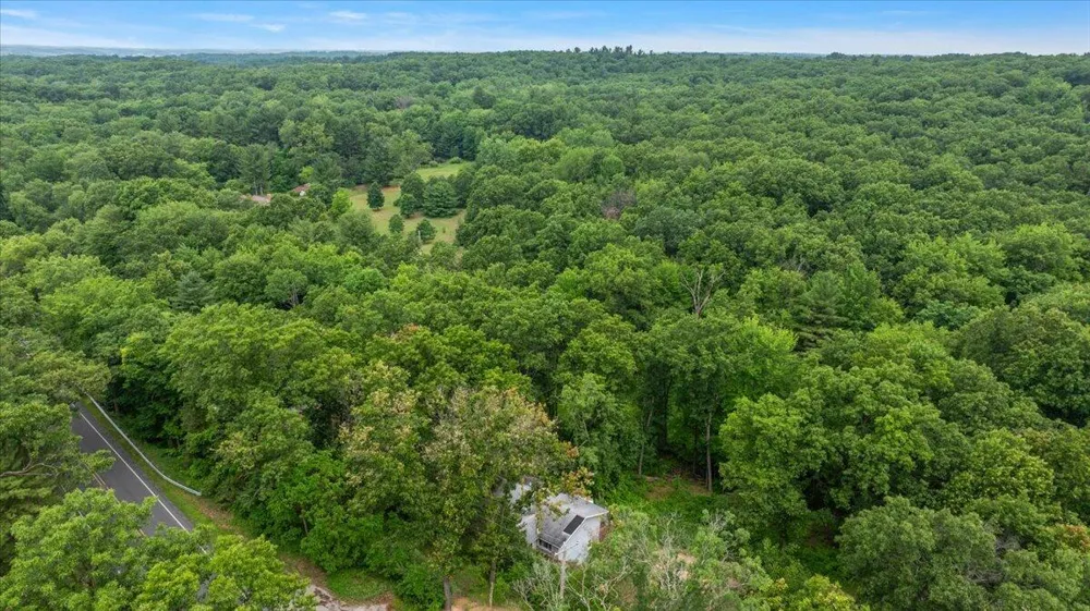 8945 Vergennes Street SE Ada, MI 49301