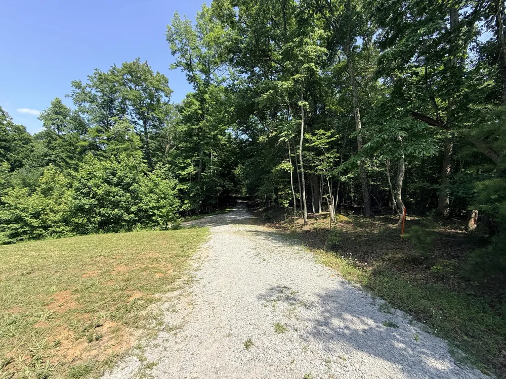 345 Magnolia Drive Spring City, TN 37381