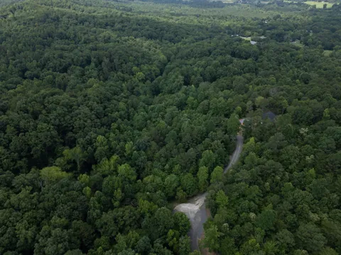 Dogwood Hollow