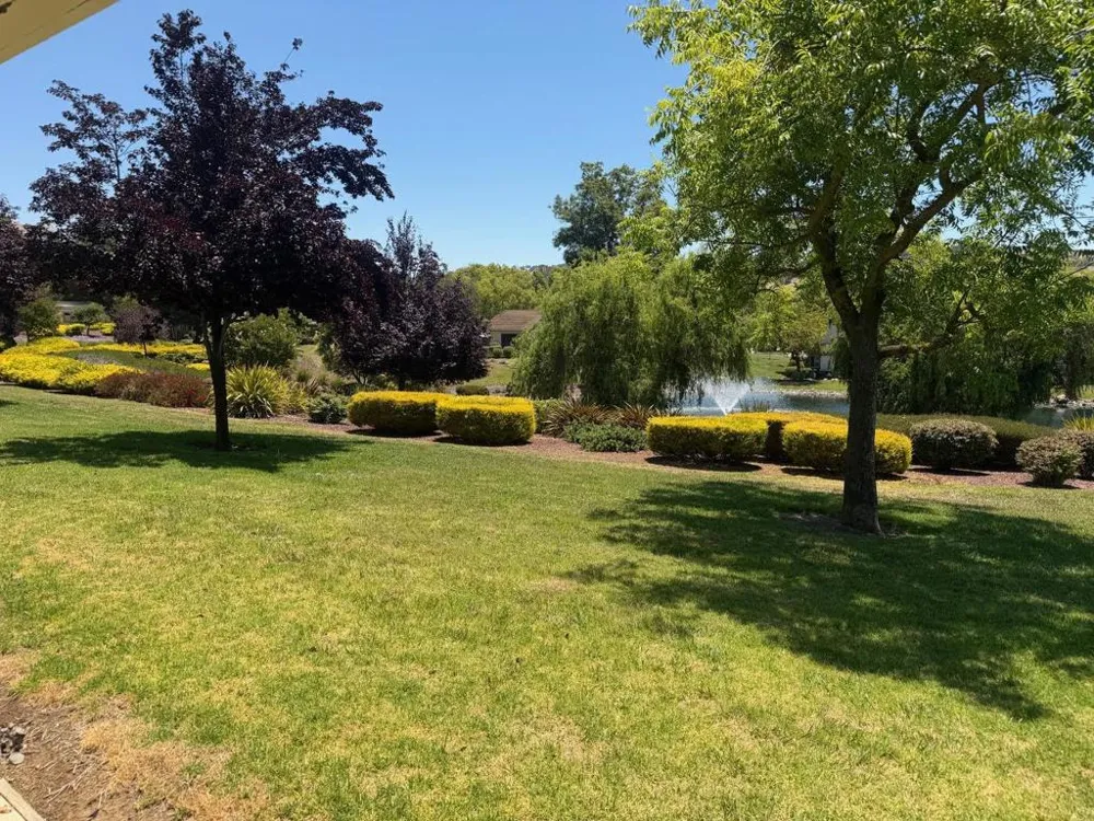 6298 Blauer Lane San Jose, CA 95135