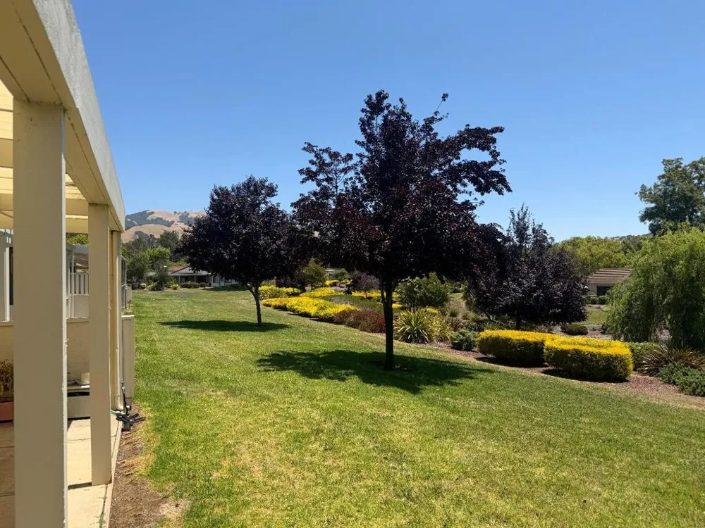 6298 Blauer Lane San Jose, CA 95135