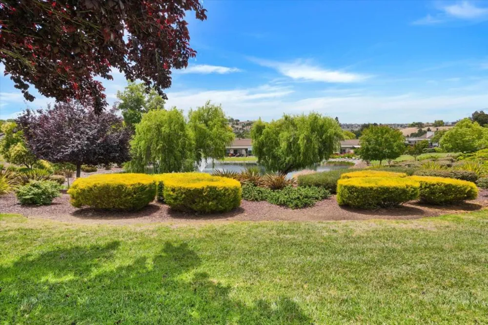 6298 Blauer Lane San Jose, CA 95135