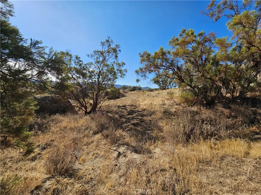 403 Lot on Lakeshore Boulevard Aguanga, CA 92536