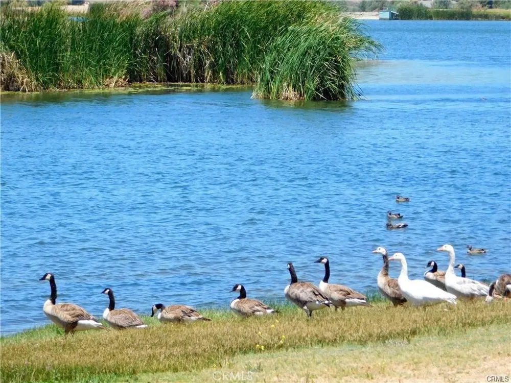 403 Lot on Lakeshore Boulevard Aguanga, CA 92536