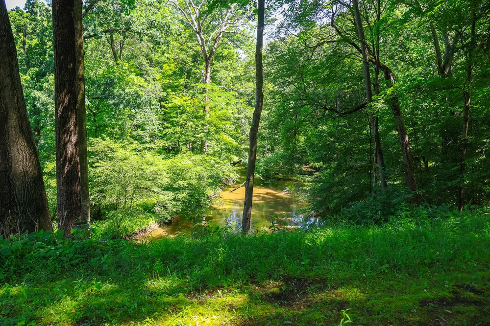 6697 Warren Woods Road Three Oaks, MI 49128