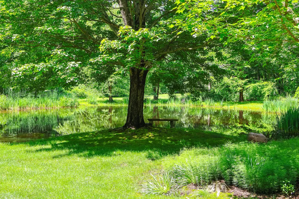 6697 Warren Woods Road Three Oaks, MI 49128