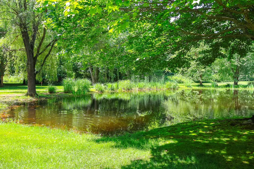 6697 Warren Woods Road Three Oaks, MI 49128