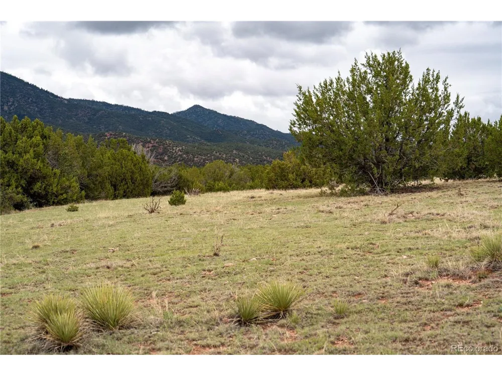 4 Iron Handle Road Penrose, CO 81240