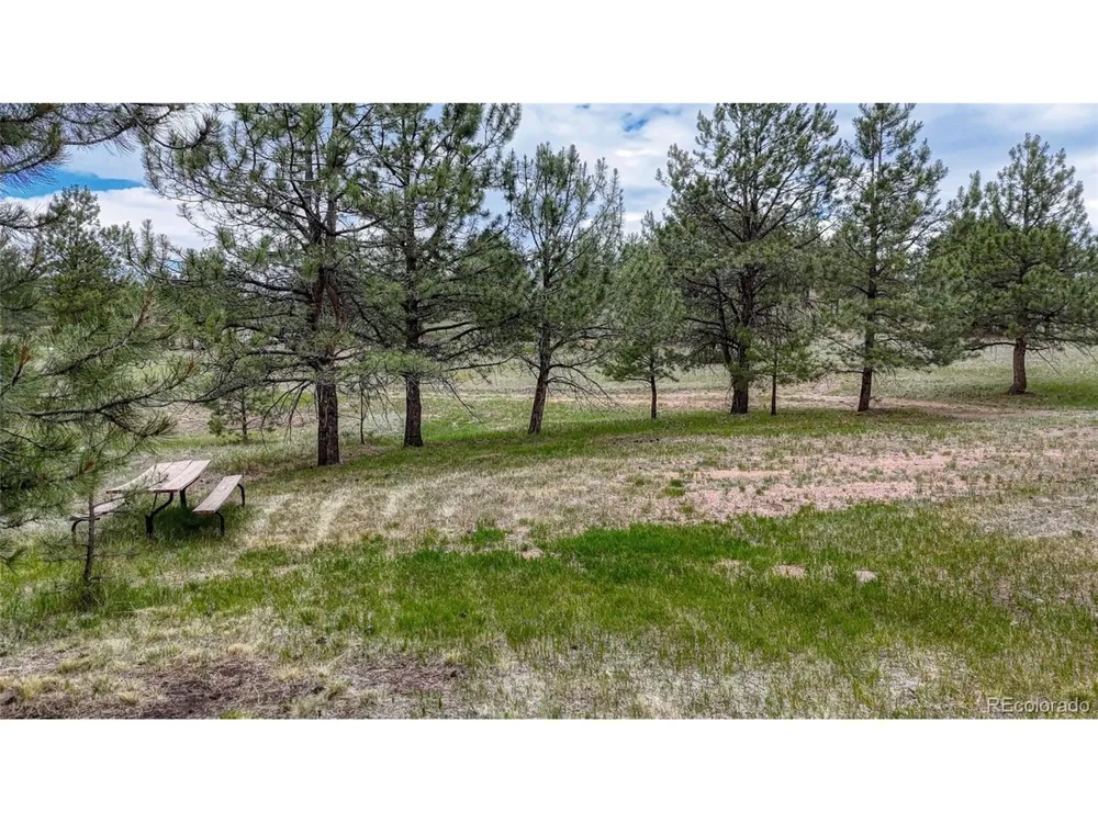 330 Arrowhead Dr Drive Florissant, CO 80816