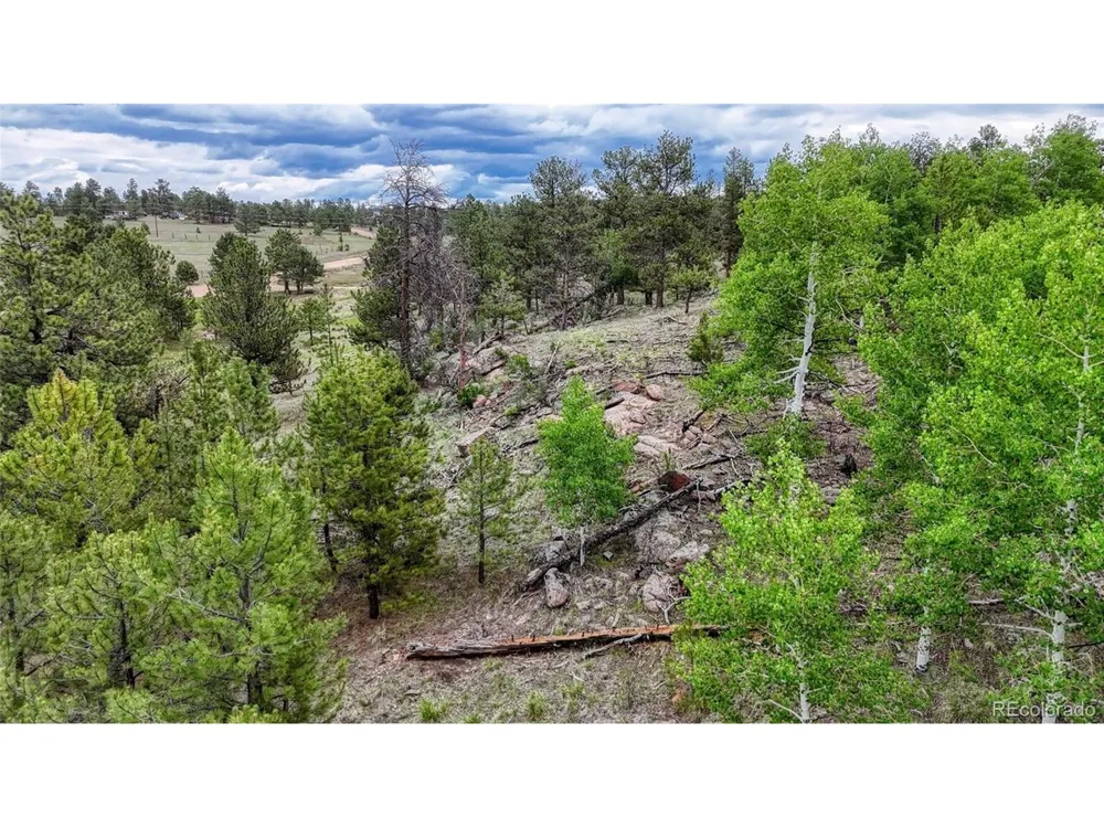 330 Arrowhead Dr Drive Florissant, CO 80816