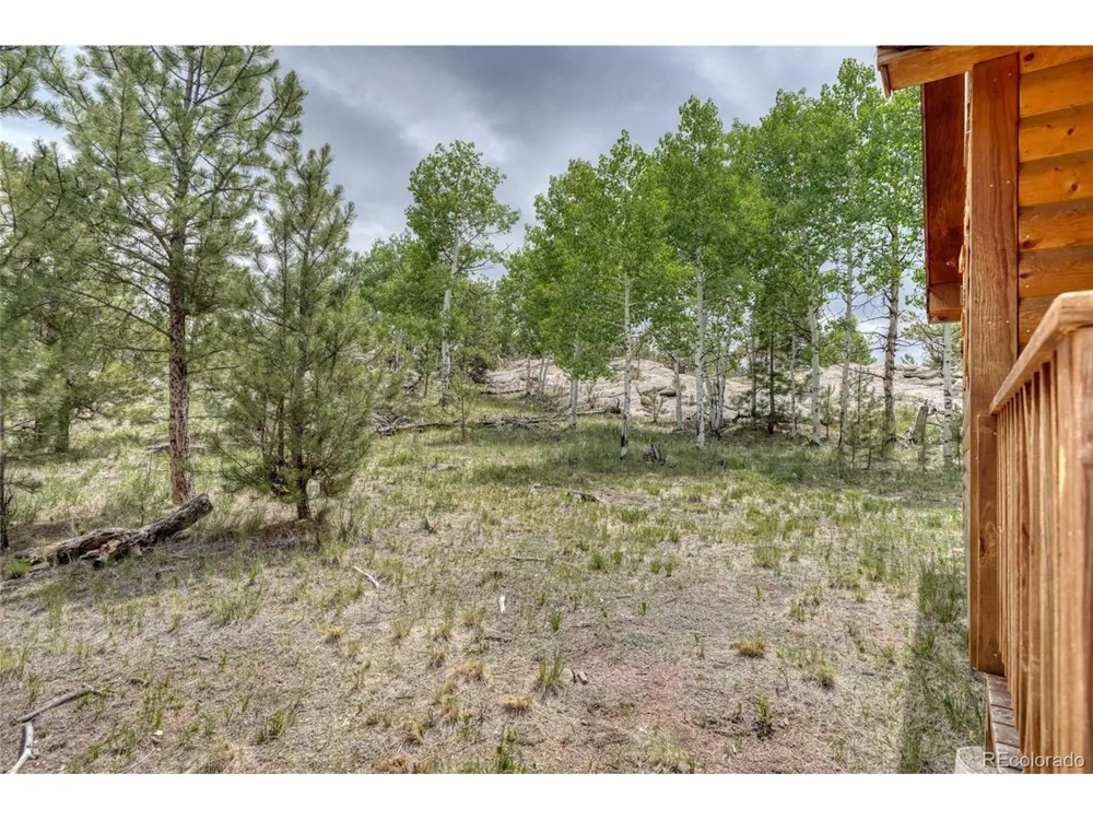 330 Arrowhead Dr Drive Florissant, CO 80816