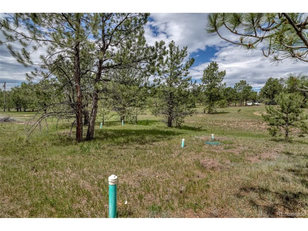 330 Arrowhead Dr Drive Florissant, CO 80816