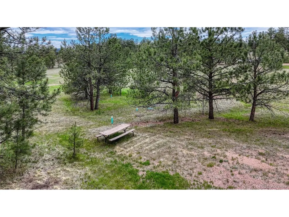 330 Arrowhead Dr Drive Florissant, CO 80816