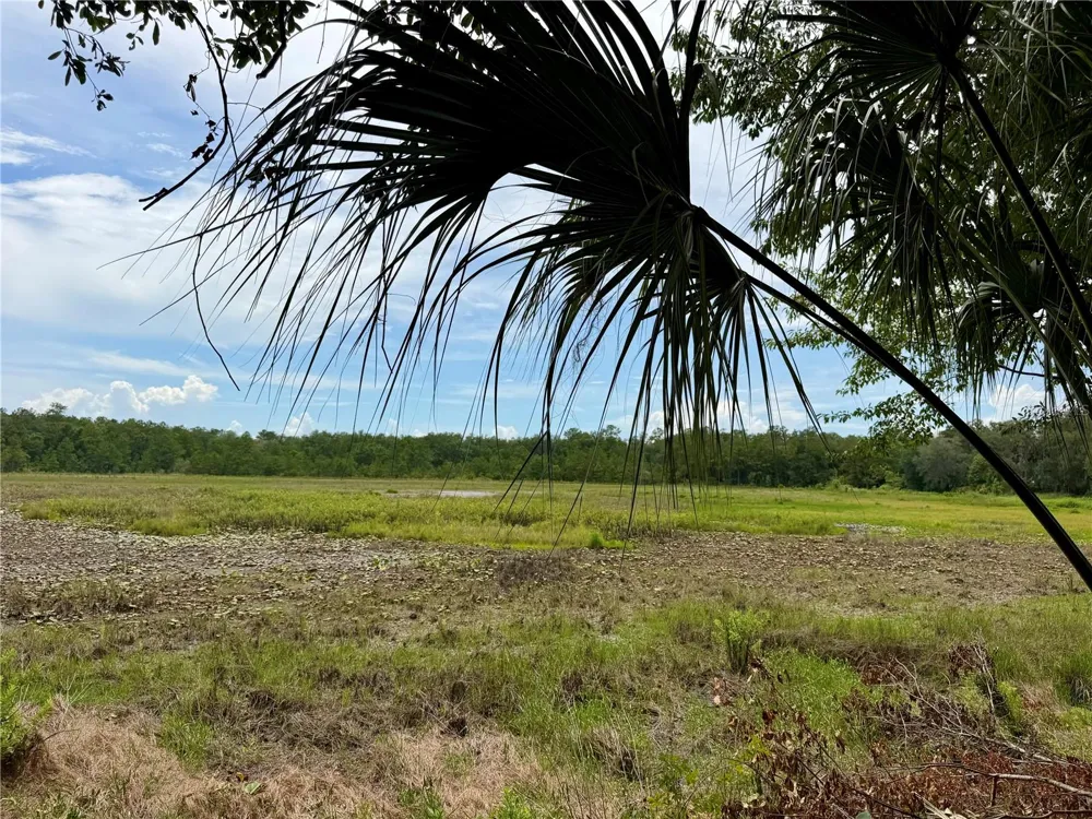 14120 NE 110TH AVENUE ROAD Fort Mc Coy, FL 32134
