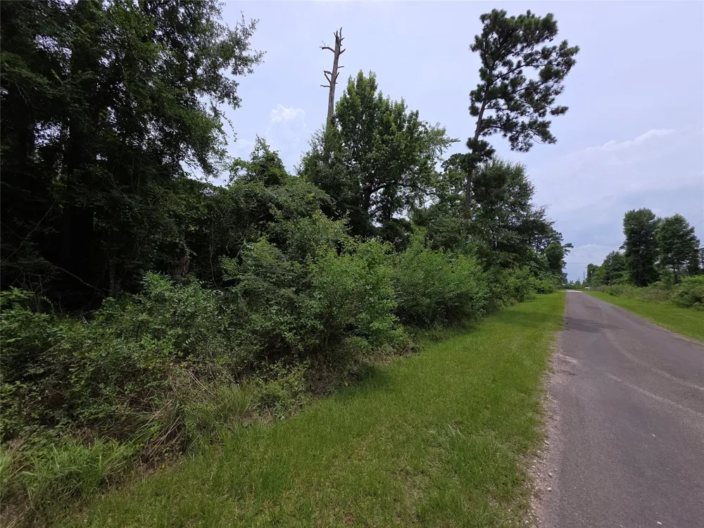 E Cattle Drive Onalaska, TX 77360