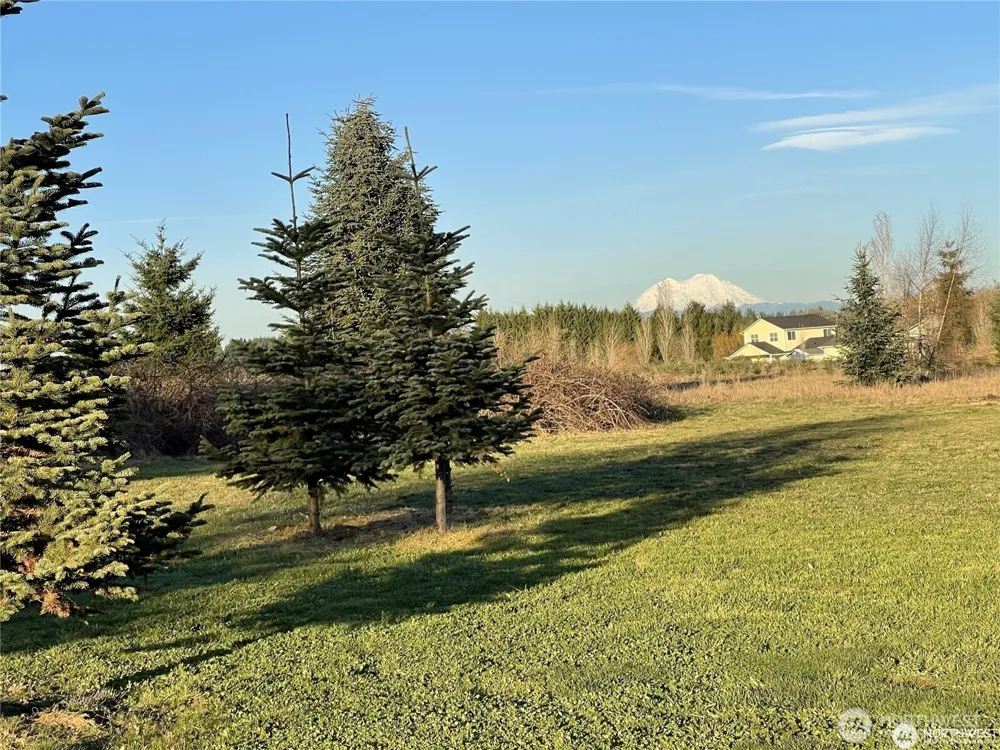415 State Route 505 Winlock, WA 98596