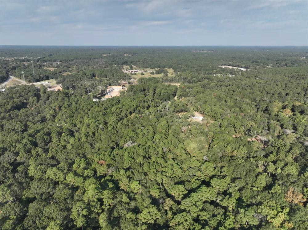 Whispering Pines Lane Plantersville, TX 77363