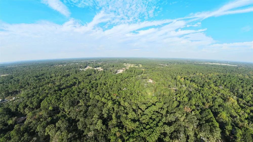 Whispering Pines Lane Plantersville, TX 77363