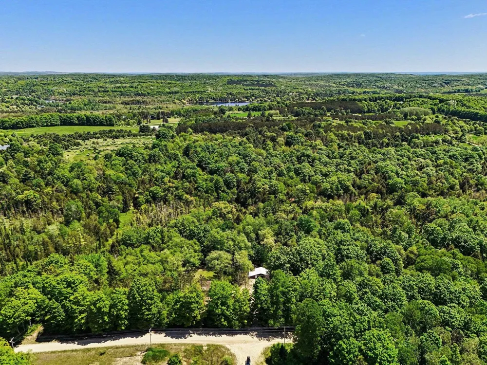 5218 Mitchell Road Central Lake Township, MI 49622