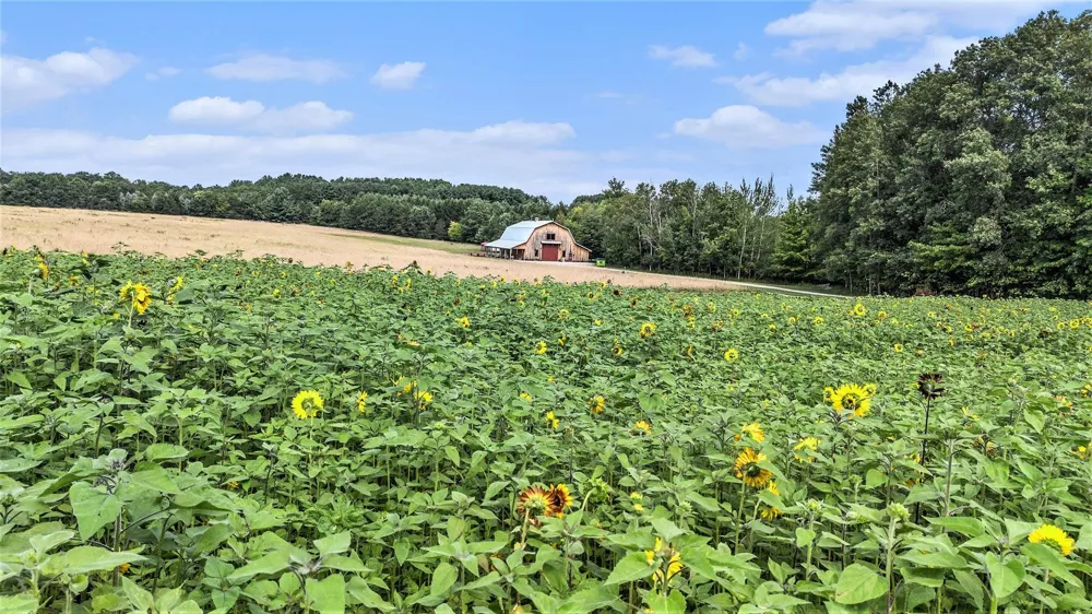 3625 Swaney Road Peninsula Township, MI 49686