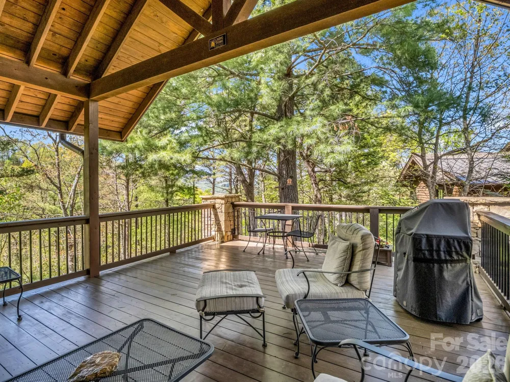 16 Panther Gap Road Black Mountain, NC 28711