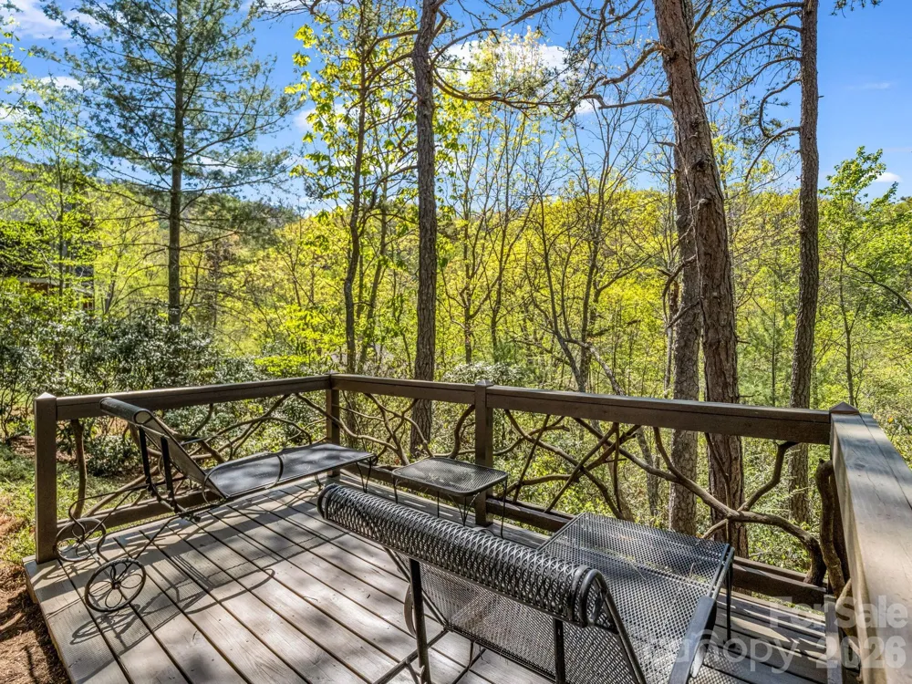 16 Panther Gap Road Black Mountain, NC 28711