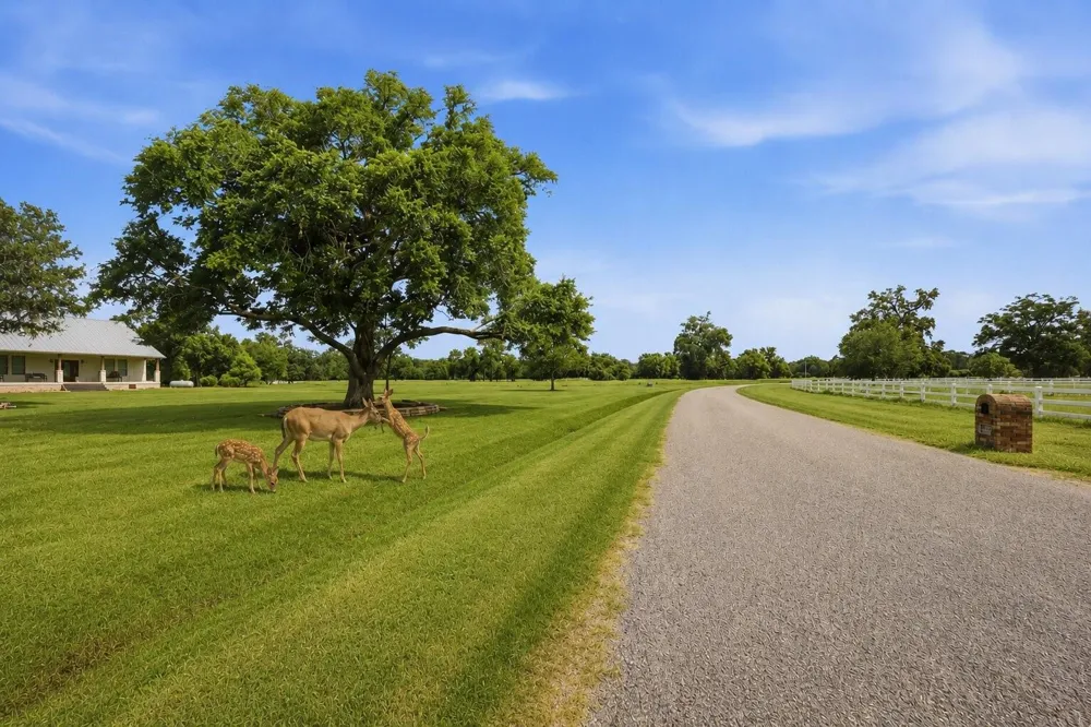 1011 W Fm 1462 Rosharon, TX 77583