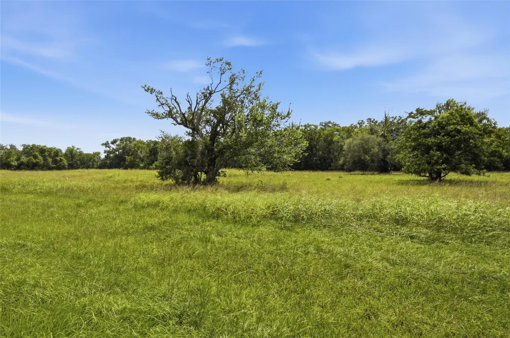 1011 W Fm 1462 Rosharon, TX 77583