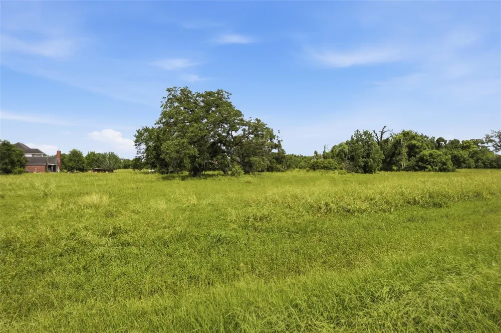 1011 W Fm 1462 Rosharon, TX 77583