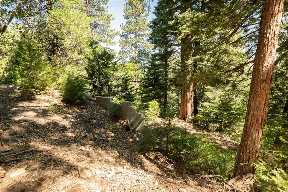 746 Blue Ridge Drive Lake Arrowhead, CA 92385