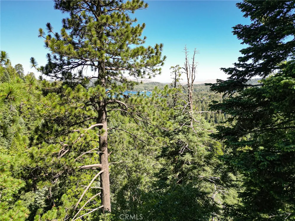 746 Blue Ridge Drive Lake Arrowhead, CA 92385
