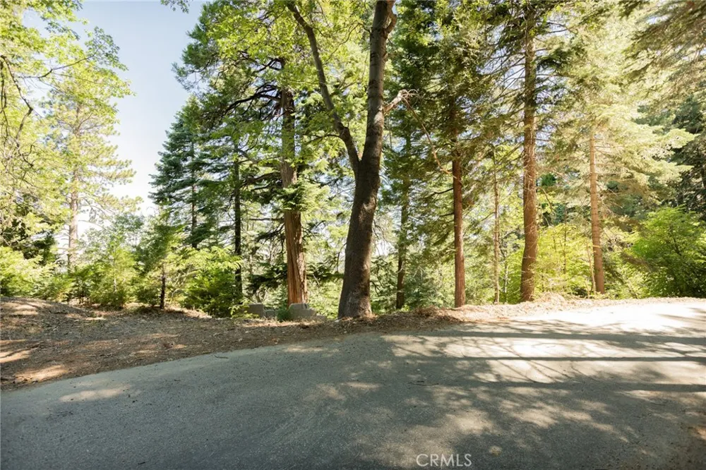 746 Blue Ridge Drive Lake Arrowhead, CA 92385