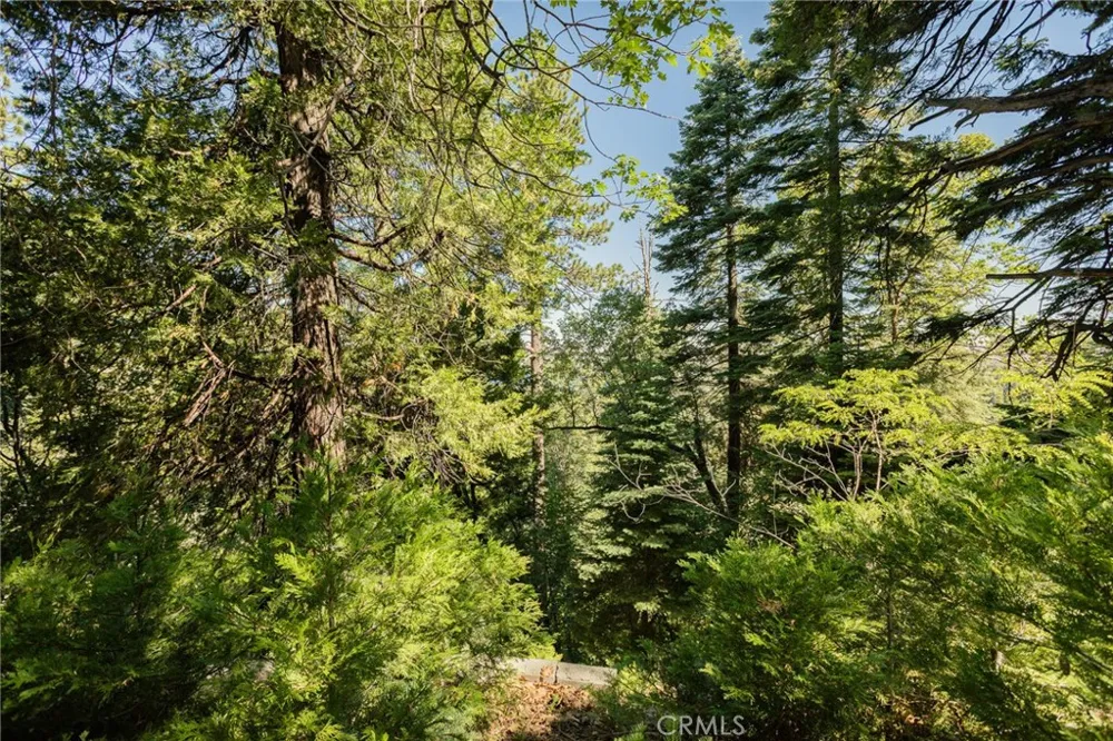 746 Blue Ridge Drive Lake Arrowhead, CA 92385