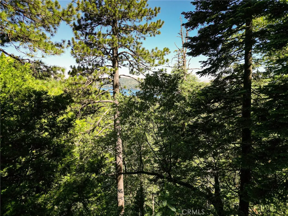 746 Blue Ridge Drive Lake Arrowhead, CA 92385