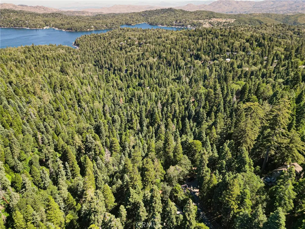 746 Blue Ridge Drive Lake Arrowhead, CA 92385